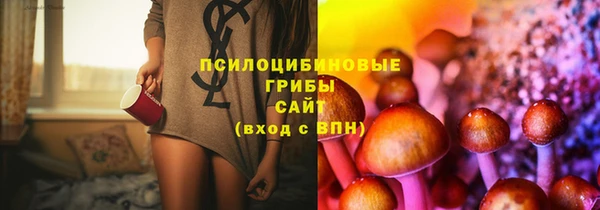 метадон Арсеньев