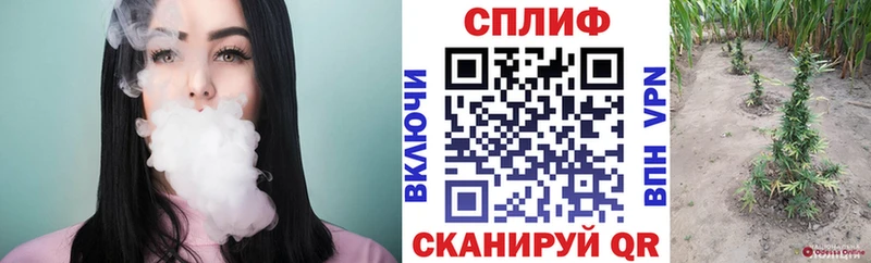 Бошки Шишки гибрид  mega ССЫЛКА  Мещовск  где найти  